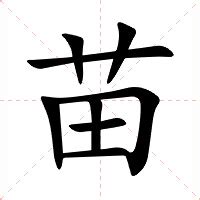 苗字意思|苗的意思